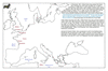 kin03 europe_thumb.gif